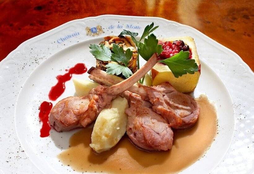 호텔 Château De La Motte