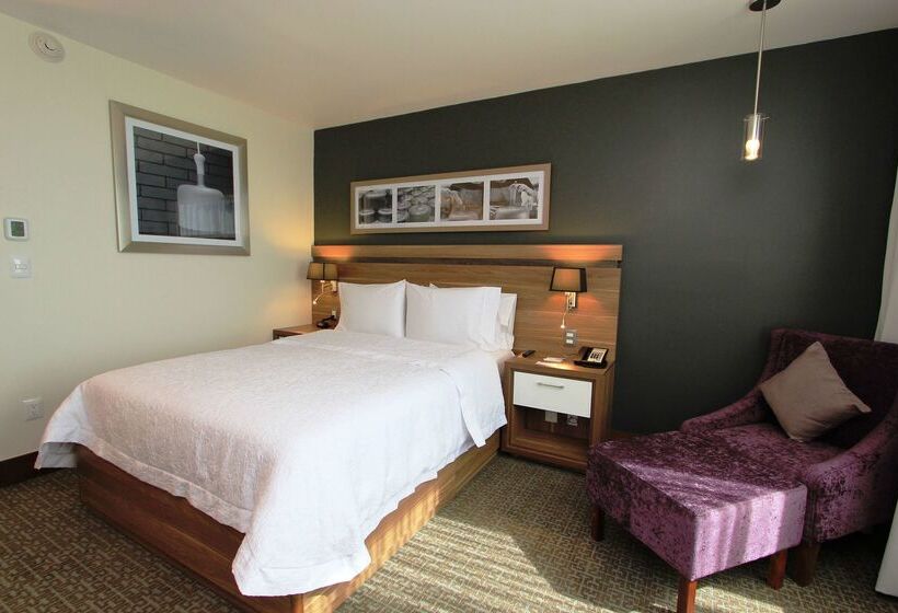 فندق Hampton Inn By Hilton Leon Guanajuato
