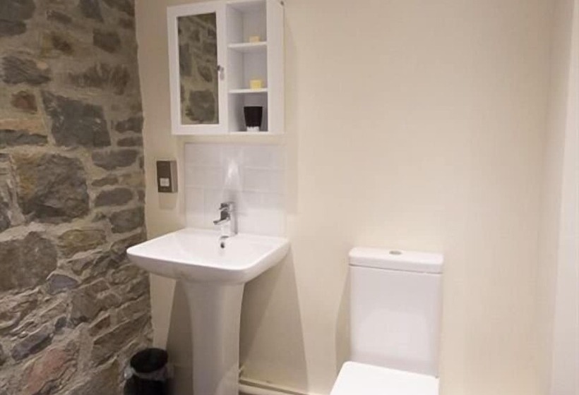 בית מלון כפרי Ty Morgan S