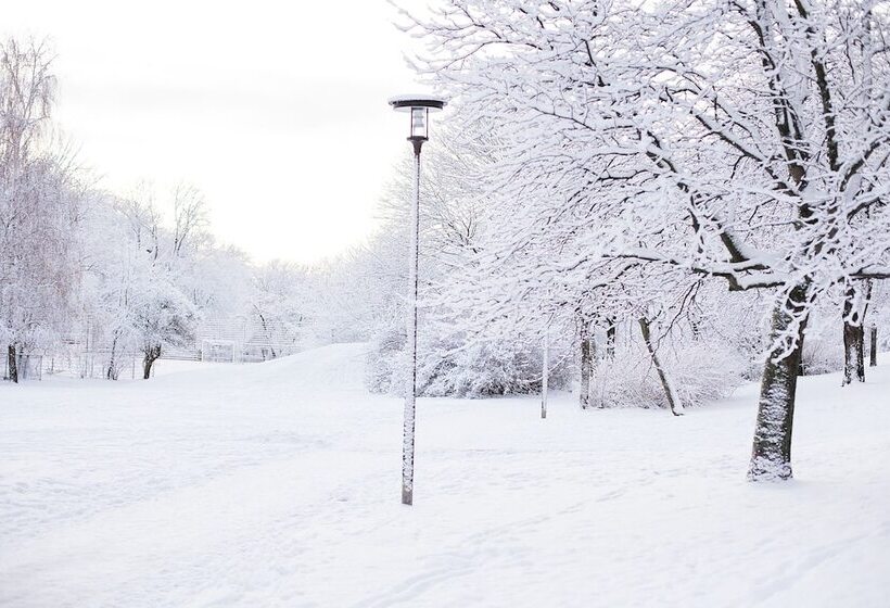 Stf Zinkensdamm Hostel