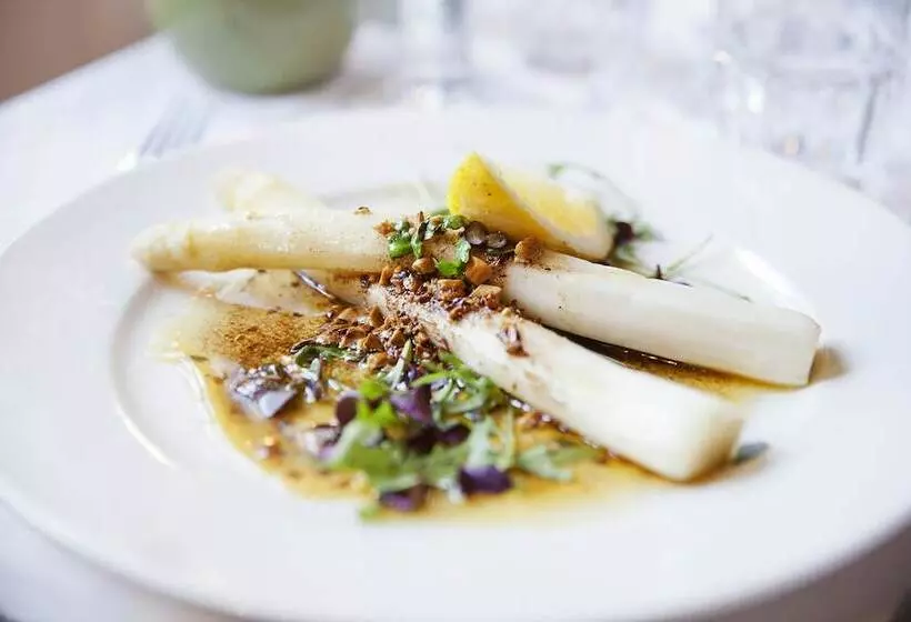 Stf Zinkensdamm Hostel