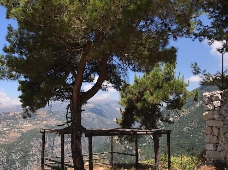 تختخواب و صبحانه Château Sainte Andrée