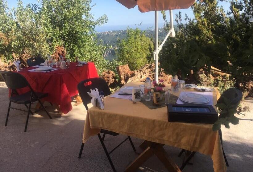 تختخواب و صبحانه Château Sainte Andrée