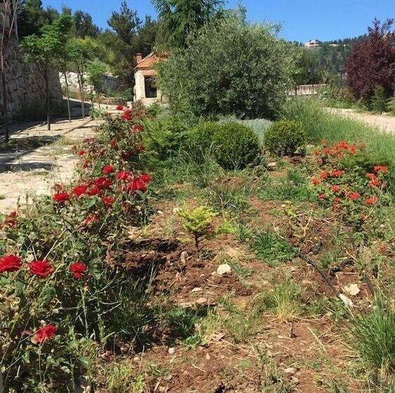 تختخواب و صبحانه Château Sainte Andrée