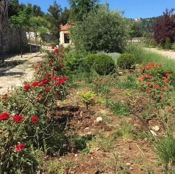 تختخواب و صبحانه Château Sainte Andrée
