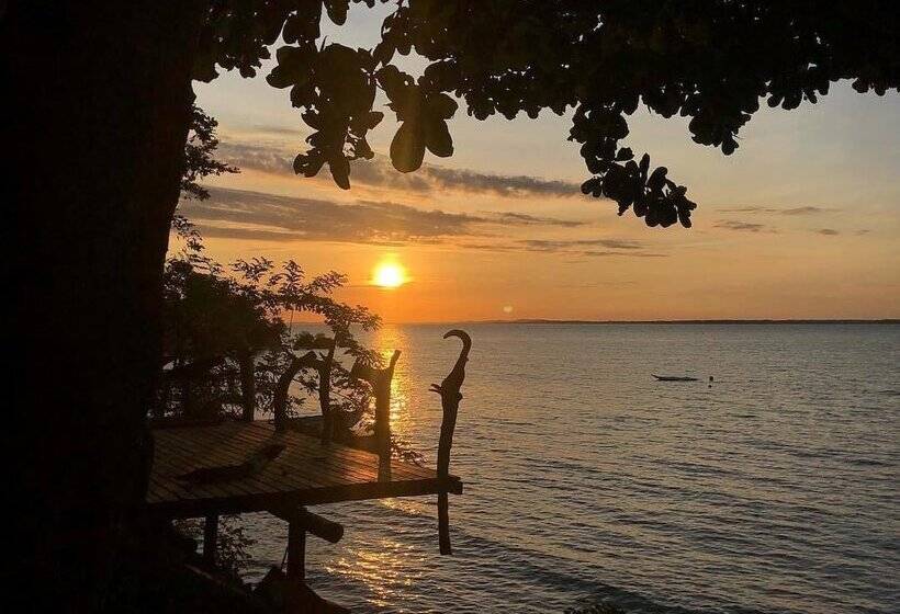 בית מלון כפרי Ecohouse