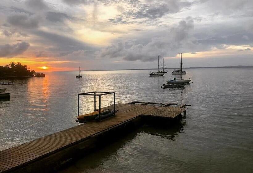 בית מלון כפרי Ecohouse