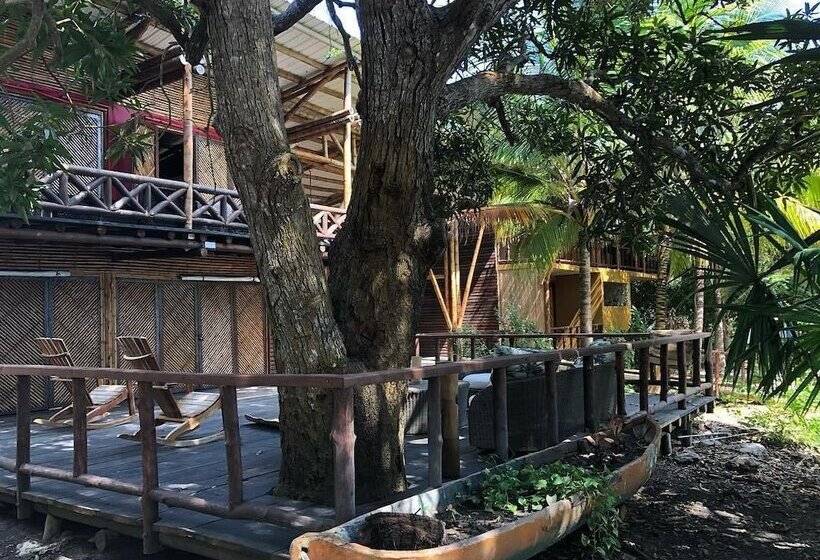 בית מלון כפרי Ecohouse