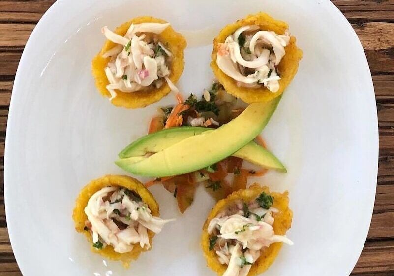 בית מלון כפרי Ecohouse