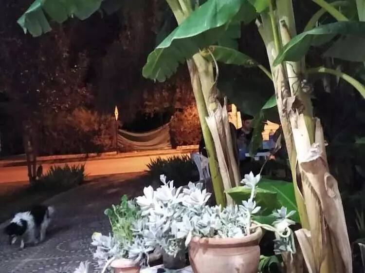 هتل El Castillito