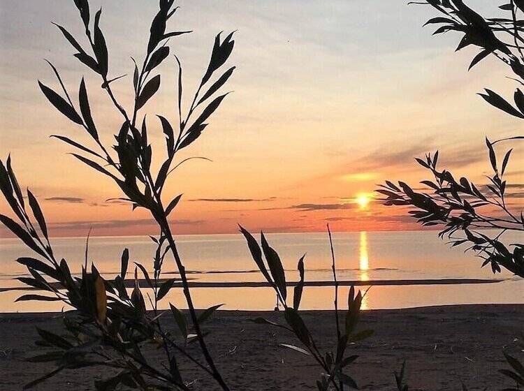 酒店 Glamping Vezzika