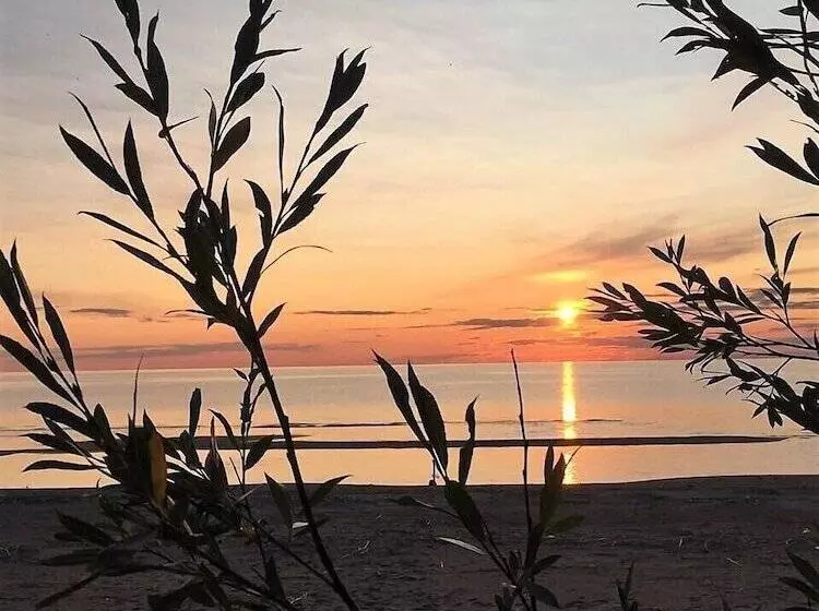 ホテル Glamping Vezzika