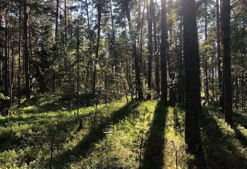 ホテル Glamping Vezzika