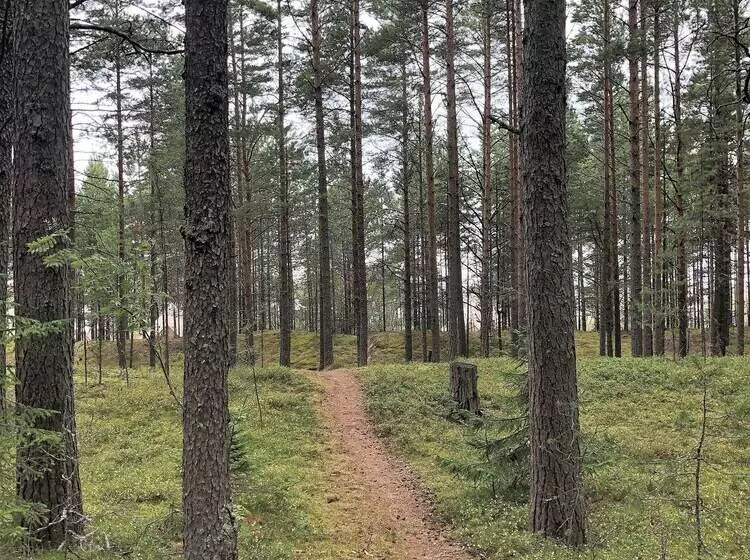 ホテル Glamping Vezzika