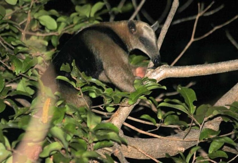 هتل San Simian Lodge