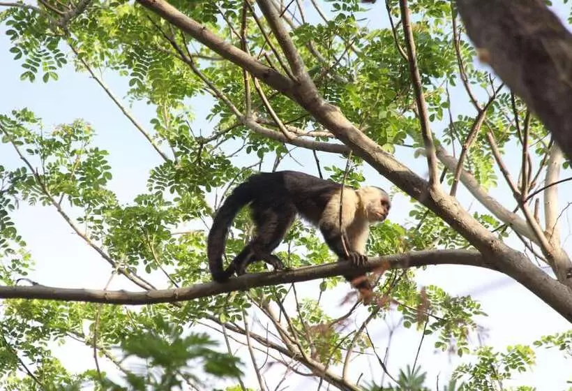 هتل San Simian Lodge