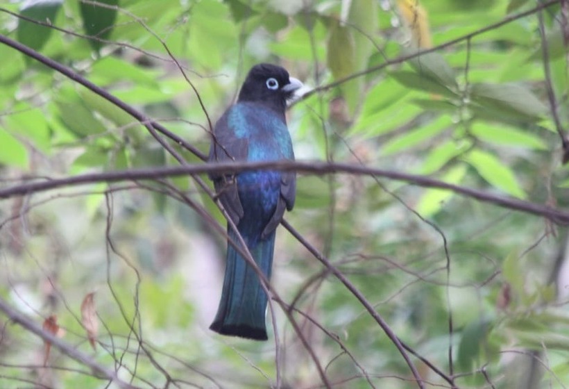 هتل San Simian Lodge