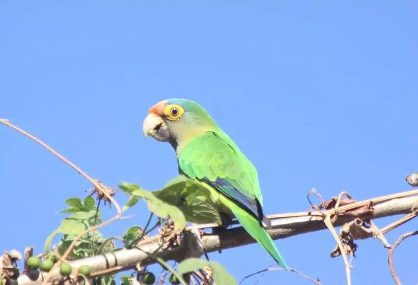 هتل San Simian Lodge