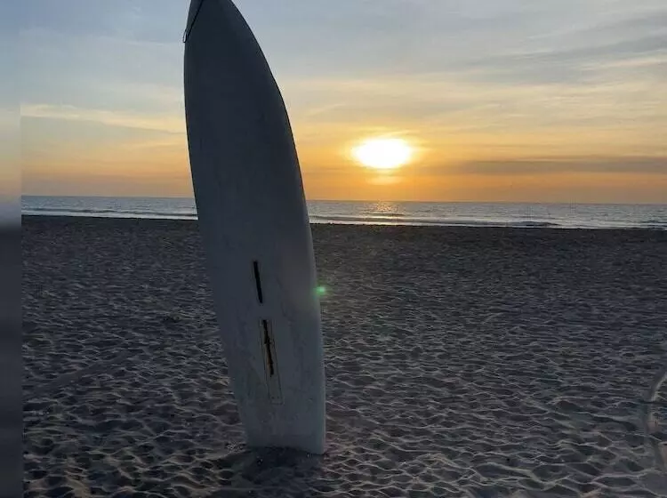 هتل Suleima Lodge