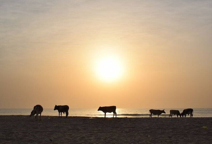 Szálloda Suleima Lodge