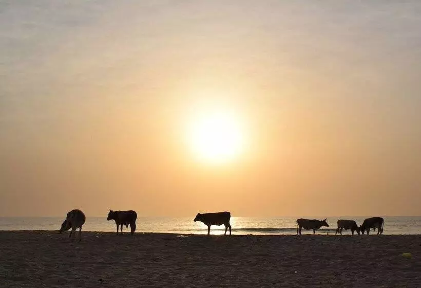 هتل Suleima Lodge