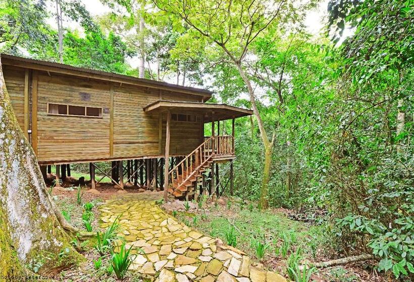 هتل The Rainforest Geo Lodge