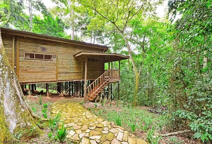 هتل The Rainforest Geo Lodge