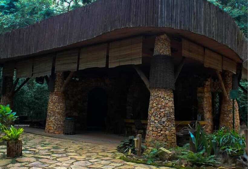 هتل The Rainforest Geo Lodge