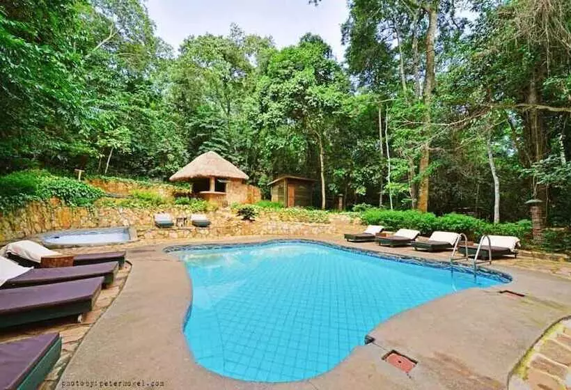 هتل The Rainforest Geo Lodge