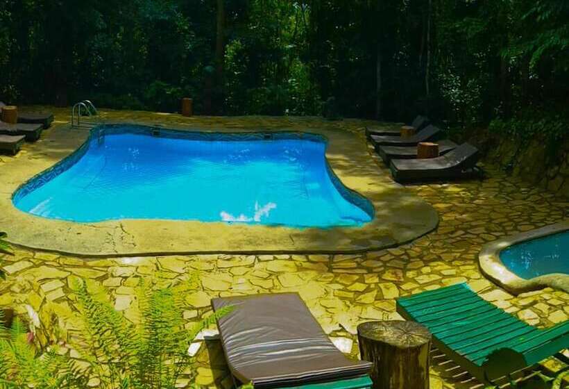 هتل The Rainforest Geo Lodge