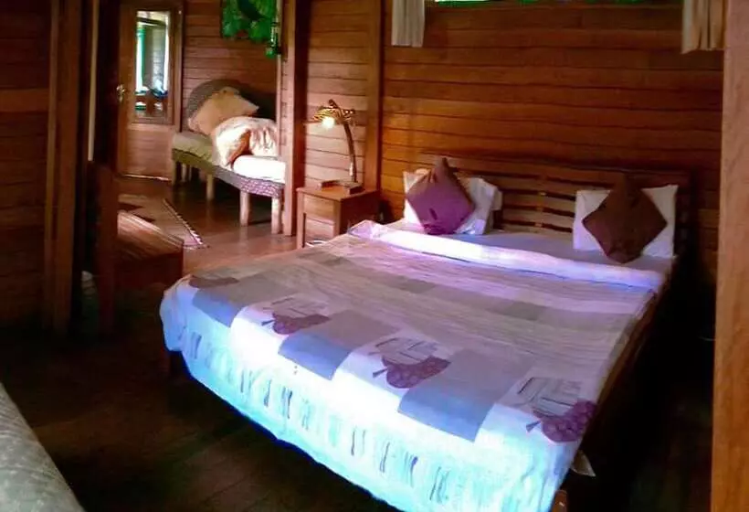 هتل The Rainforest Geo Lodge