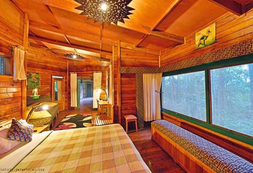 هتل The Rainforest Geo Lodge