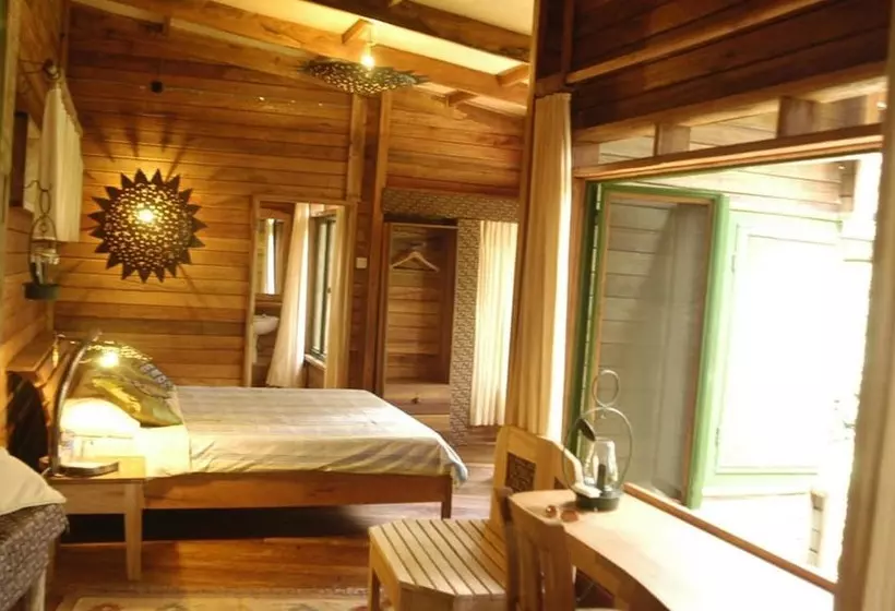 هتل The Rainforest Geo Lodge