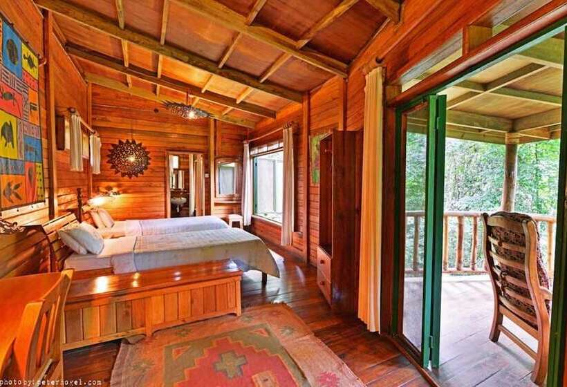هتل The Rainforest Geo Lodge