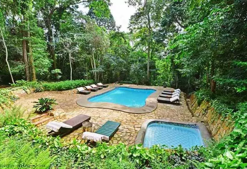 هتل The Rainforest Geo Lodge