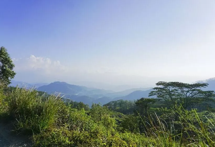 Hotelli Wild Glamping Knuckles   Thema Collection