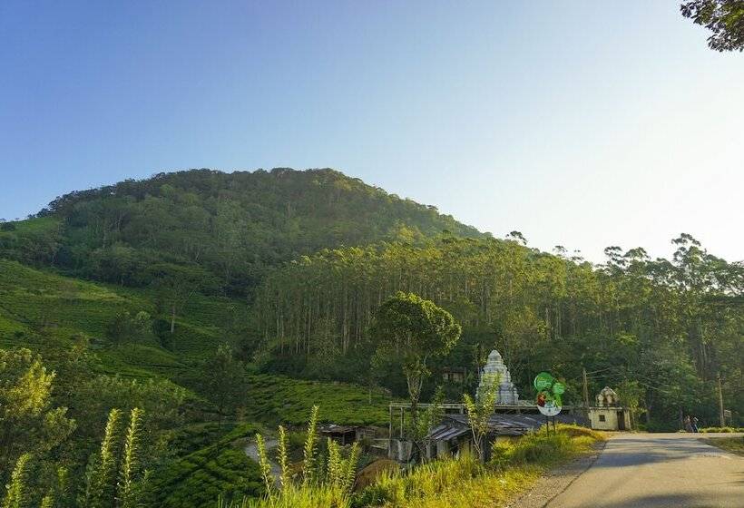 Hotel Wild Glamping Knuckles Thema Collection