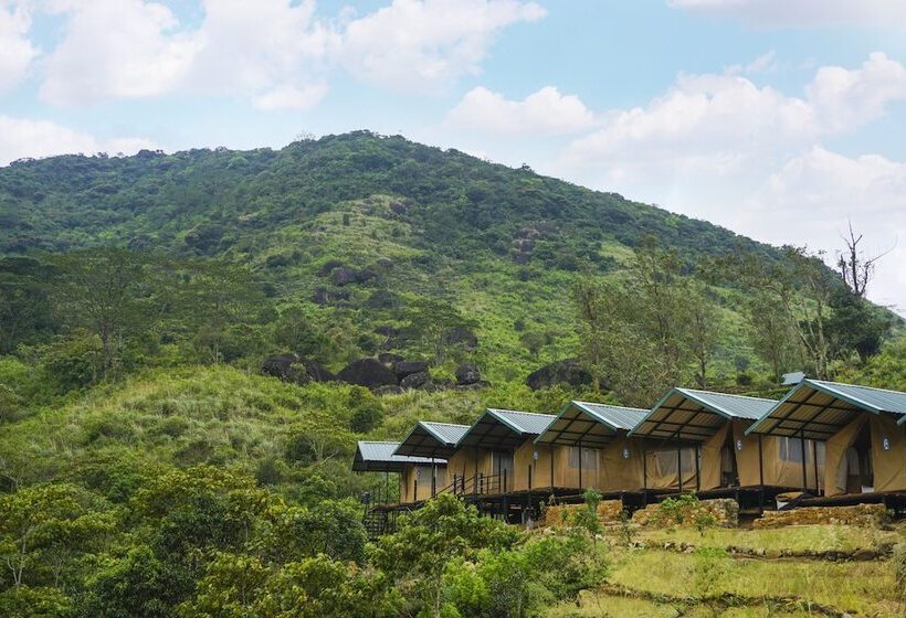 Hotel Wild Glamping Knuckles Thema Collection