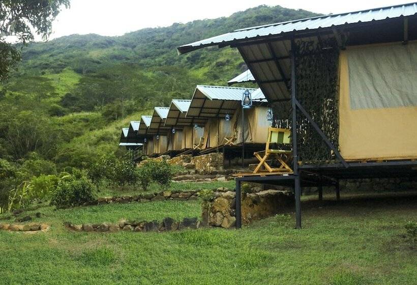 Hotel Wild Glamping Knuckles Thema Collection