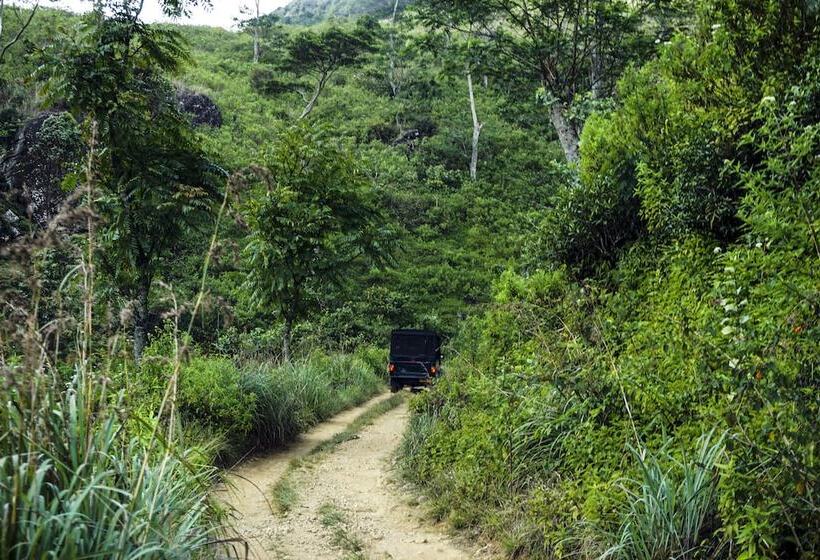 Hotel Wild Glamping Knuckles Thema Collection