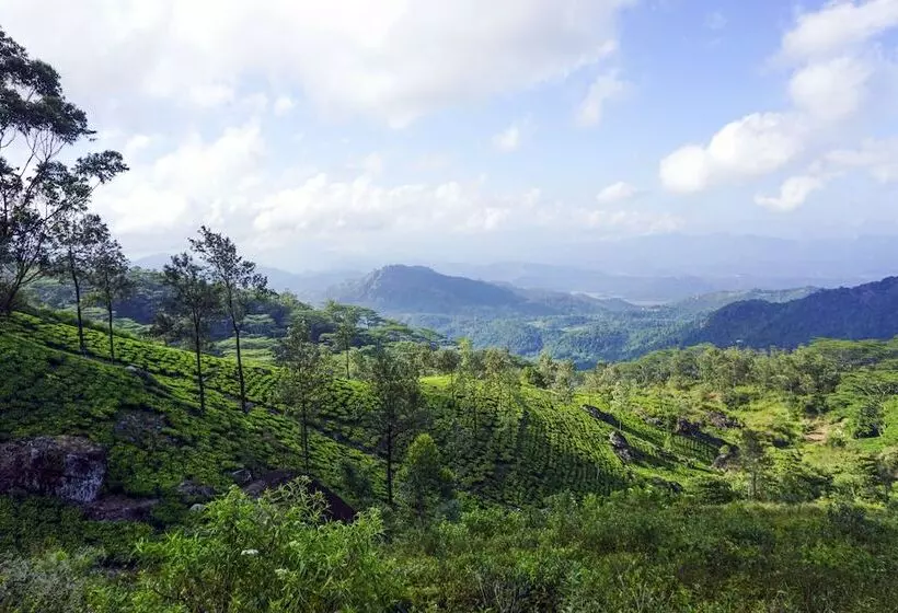 Hotelli Wild Glamping Knuckles   Thema Collection