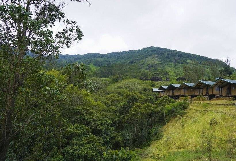 Hotel Wild Glamping Knuckles Thema Collection