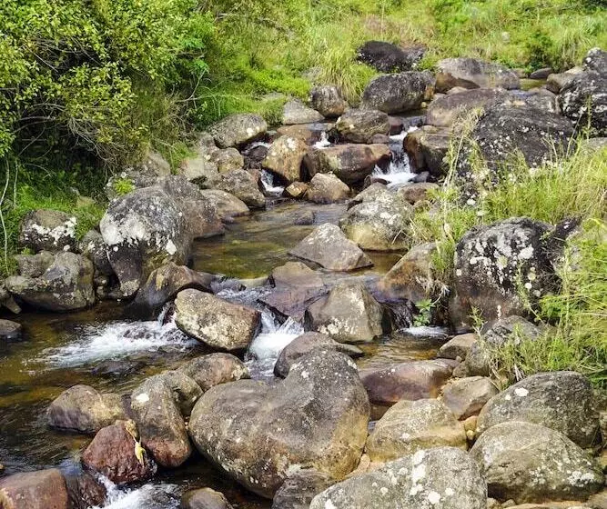 Hotelli Wild Glamping Knuckles   Thema Collection