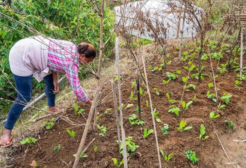 پانسیون Begnas Yoga & Retreat