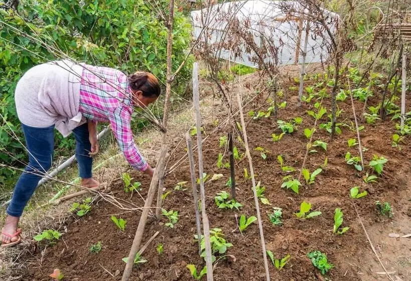 پانسیون Begnas Yoga & Retreat