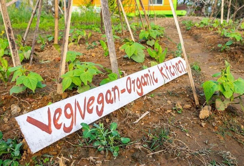 پانسیون Begnas Yoga & Retreat