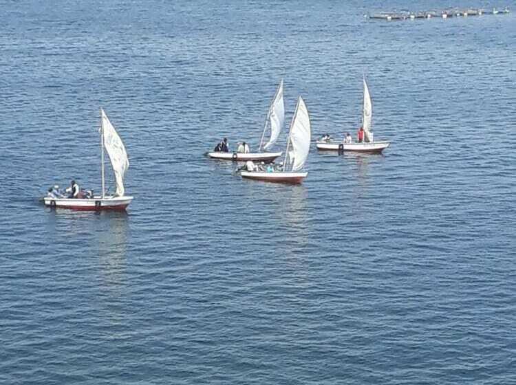 ペンション Casa De Oliver Y Sebastiana