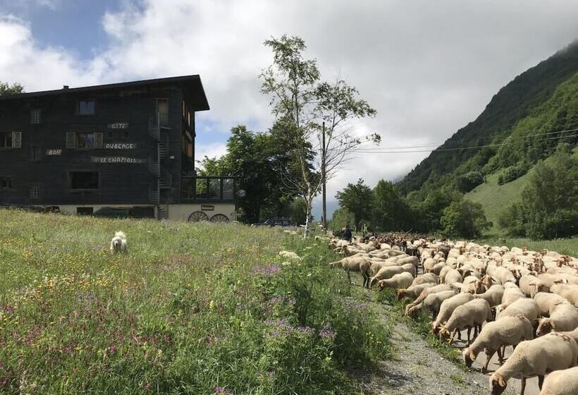 Pensionat Gite   Auberge Le Chamois