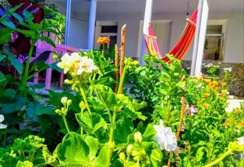 پانسیون Guest House Carpediem