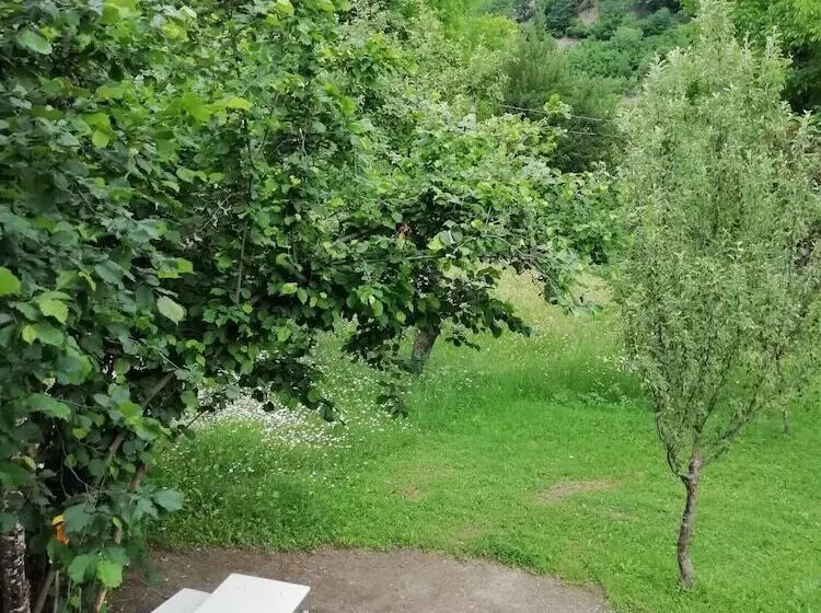 پانسیون Guest House Carpediem